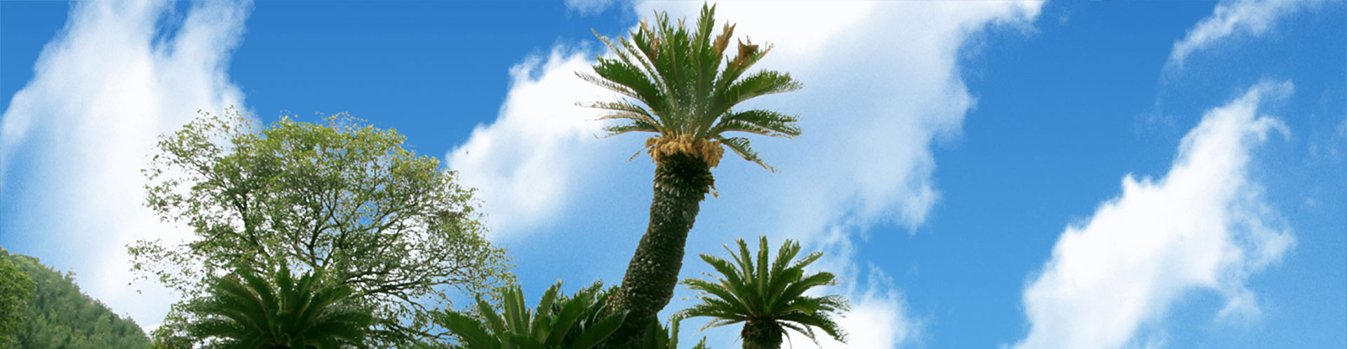 我命在我不在天 ，延长生命从有机生活开始。