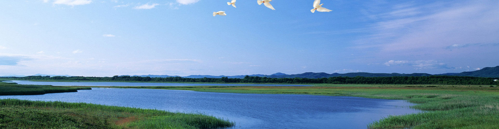 我们来于大自然，我们敬畏大自然，我们善待大自然。